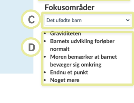 Fokusområder