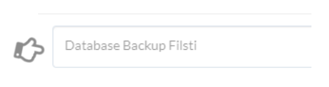 Systemindstillinger Database backupsti